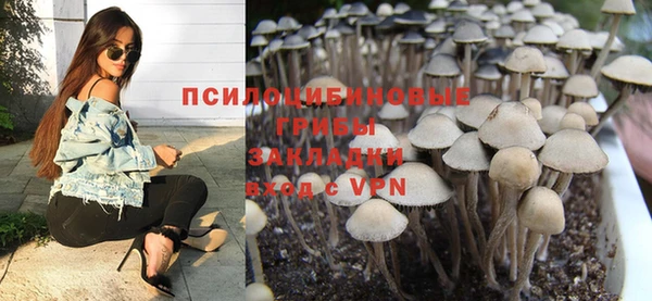 соль курить ск Арсеньев