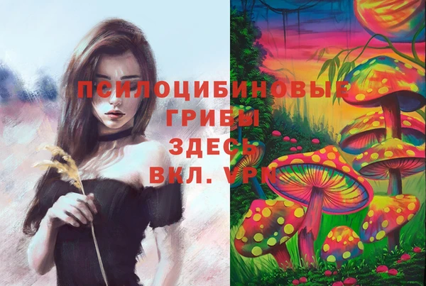 соль курить ск Арсеньев