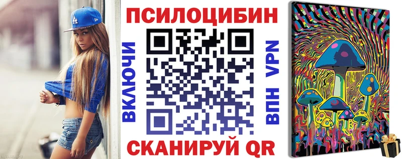 дарнет шоп  Райчихинск  Галлюциногенные грибы Psilocybine cubensis 